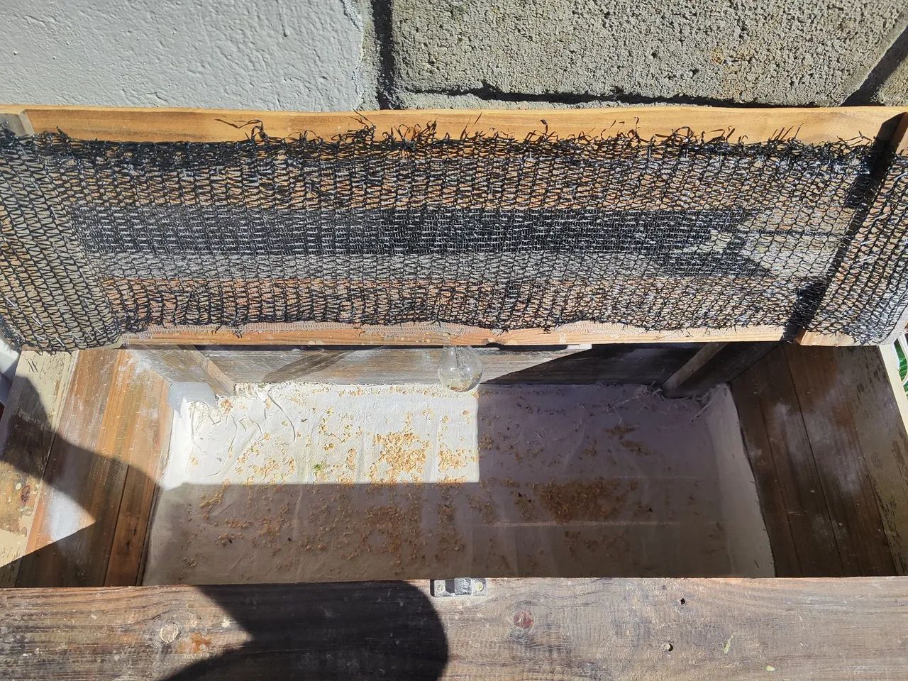 Pinteiro Para Pintinhos e Codornas - Foto 3