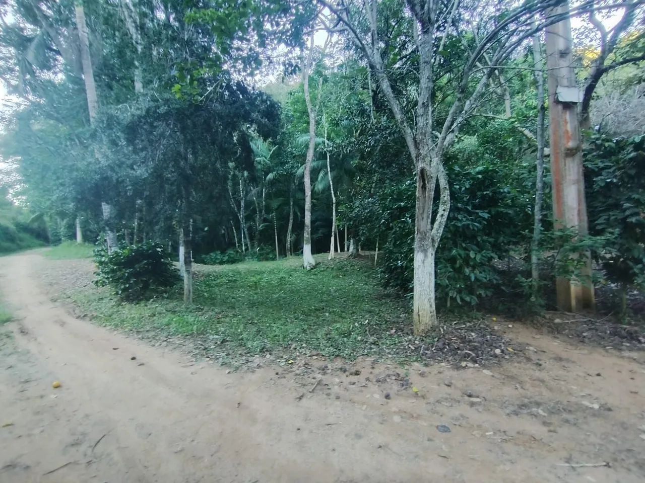 Vendo chácara em Cerro azul  - Foto 4