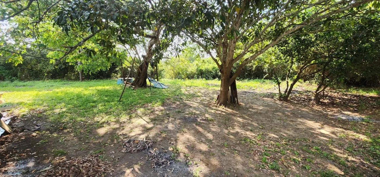 Vendo rancho na beira do rio Miranda  - Foto 4