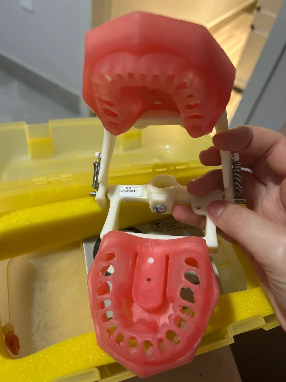 Manequim de endodontia Pronew  - Foto 3