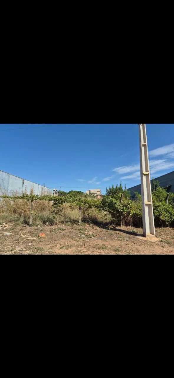 Terreno todo nivelado , avenida principal - Foto 3