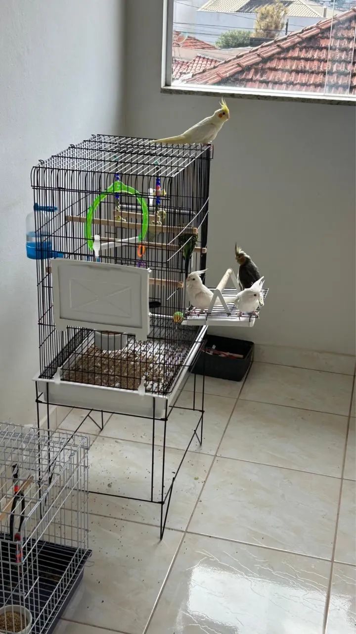 Gaiola triplex para pássaros  - Foto 3