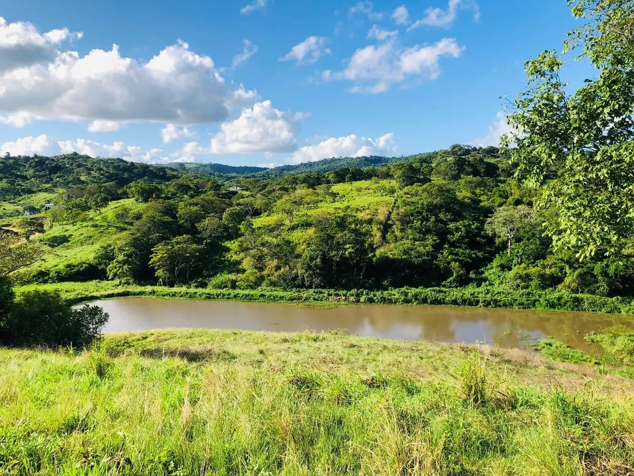 62 hectares a venda - Foto 3