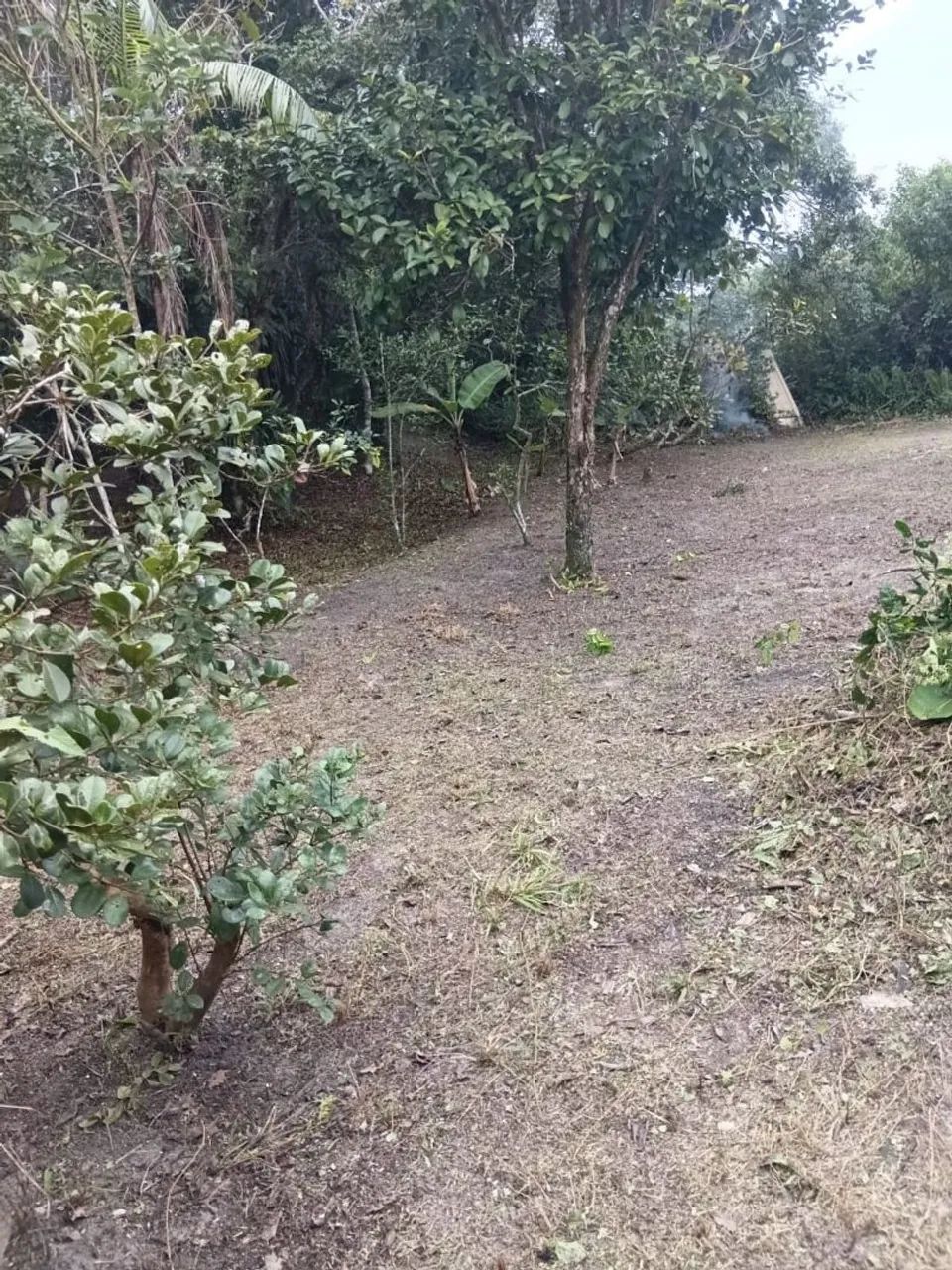 SITIO NA JURÉIA COM TRANQUILIDADE E PAZ  - Foto 4