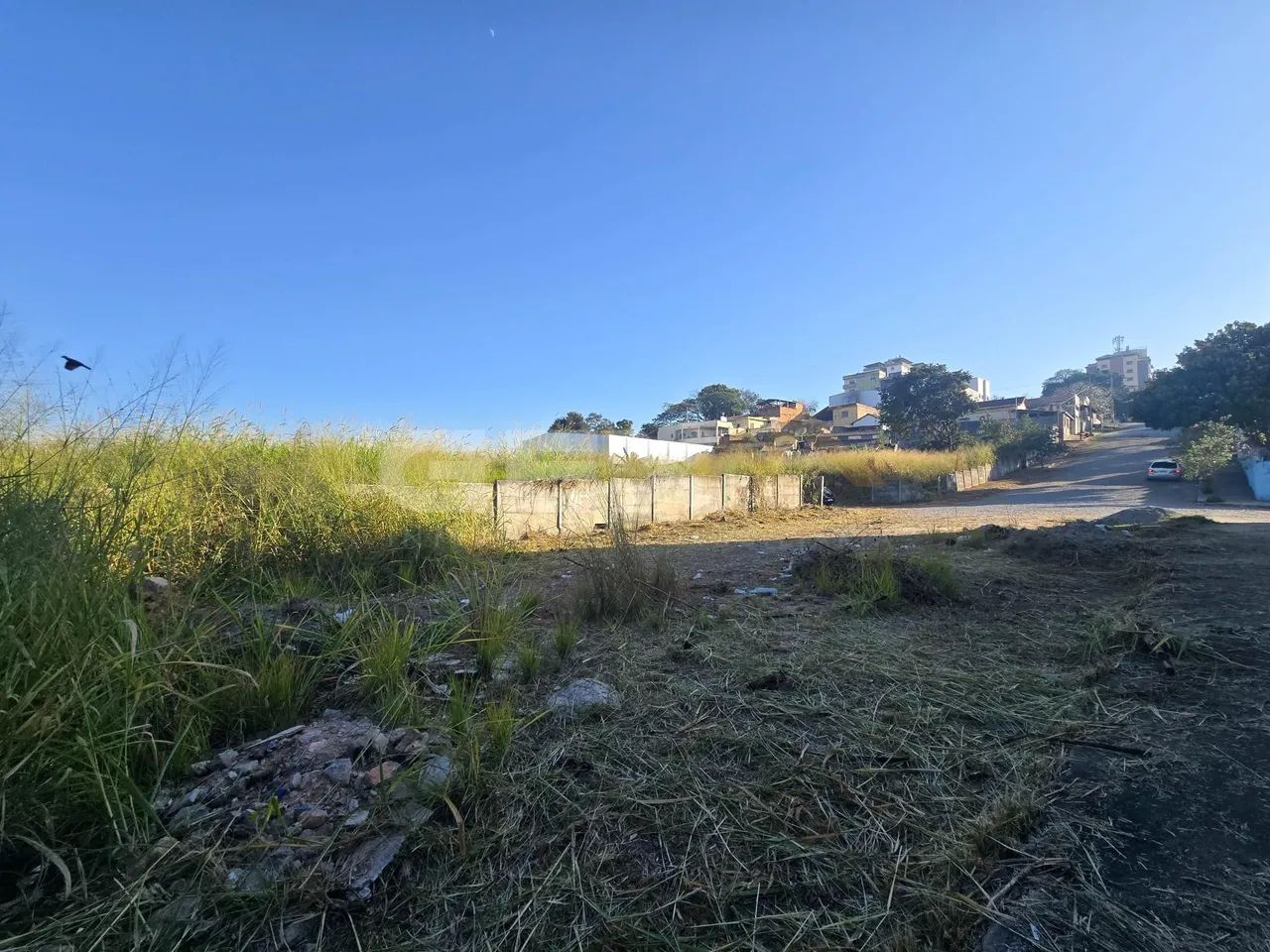 Lote à venda no bairro Ipiranga com 288 m². - Foto 3