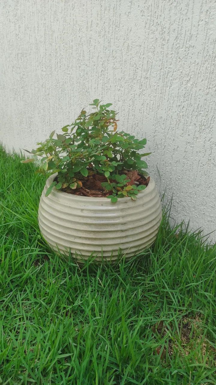 Vaso sob encomenda. - Foto 3