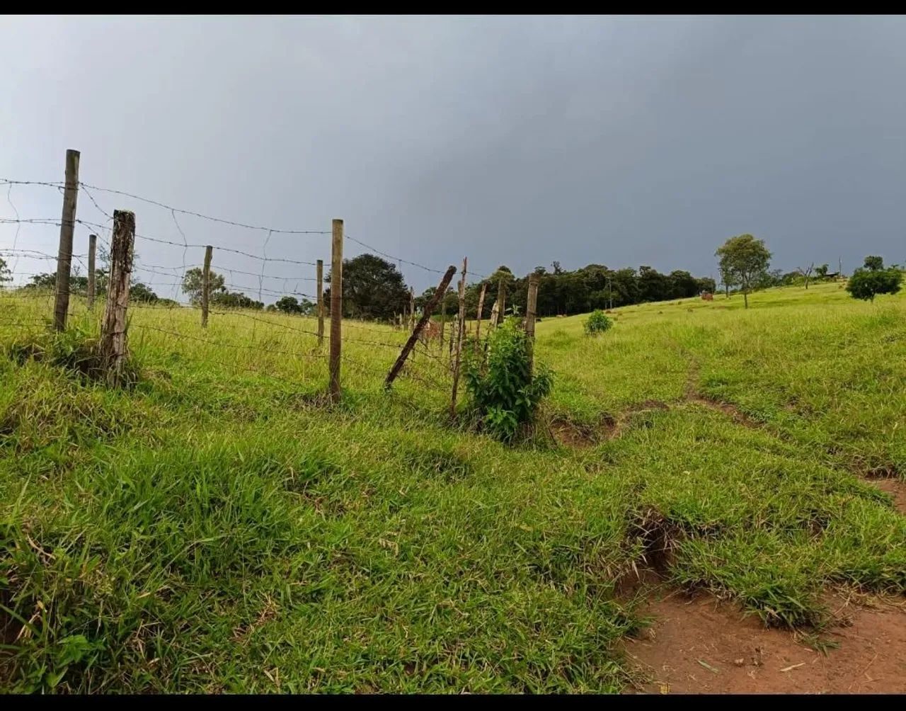 TERRENO 4HC EM BONFIM. - Foto 5