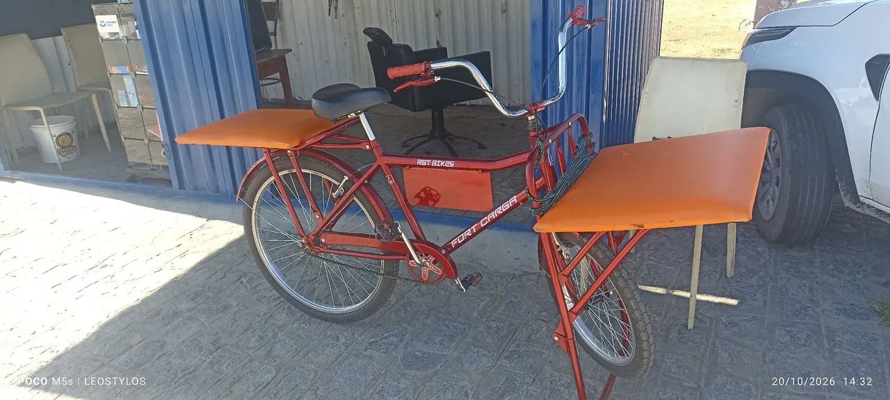 Bicicleta de carga 