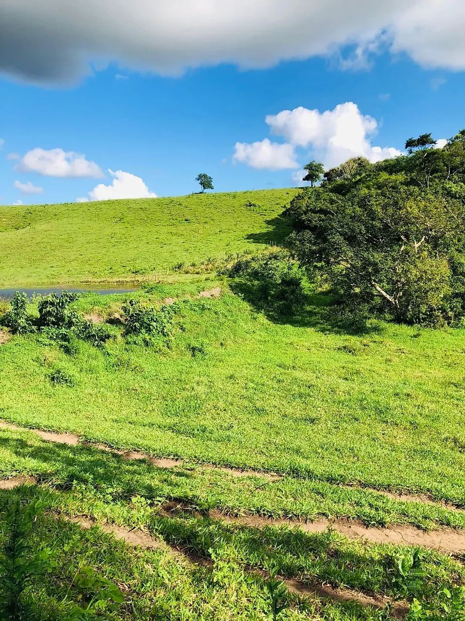62 hectares a venda - Foto 4