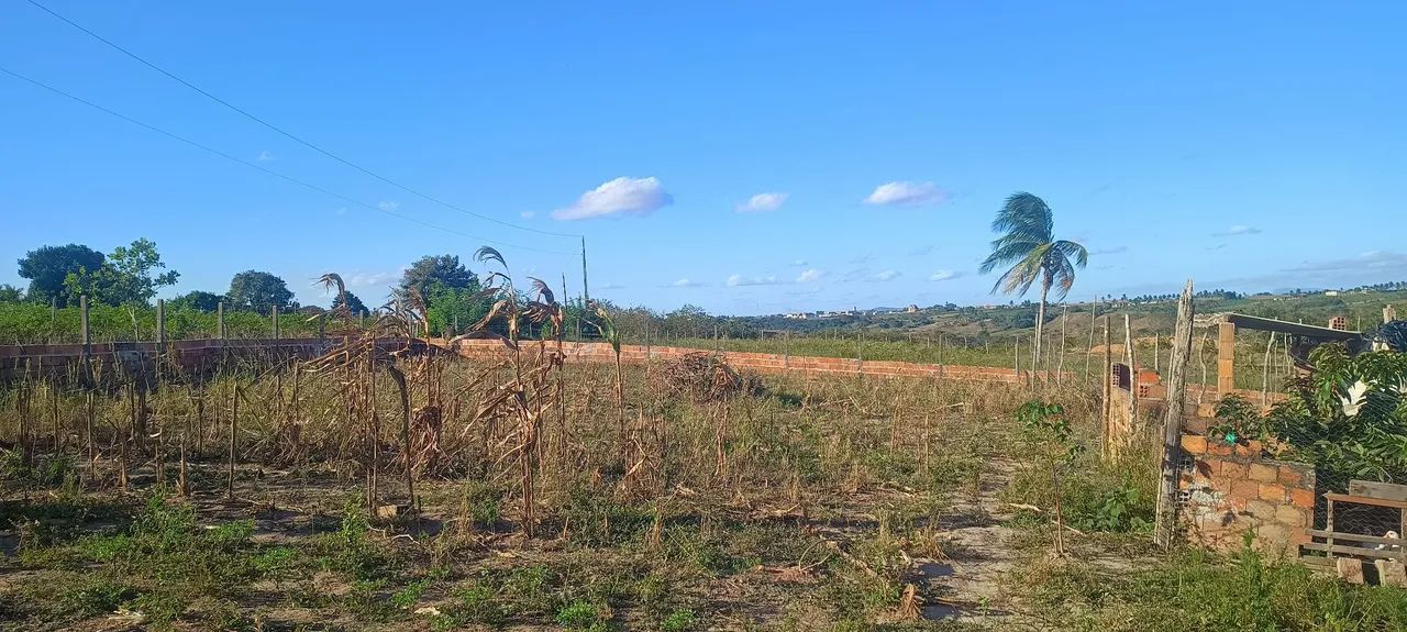 Casa. Chácara.  - Foto 4