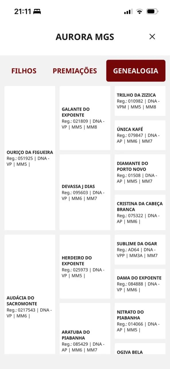 Potra documentada   - Foto 5