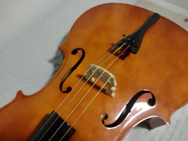 Violoncelo Jahnke 4/4 (Aceito Trocas) - Foto 4