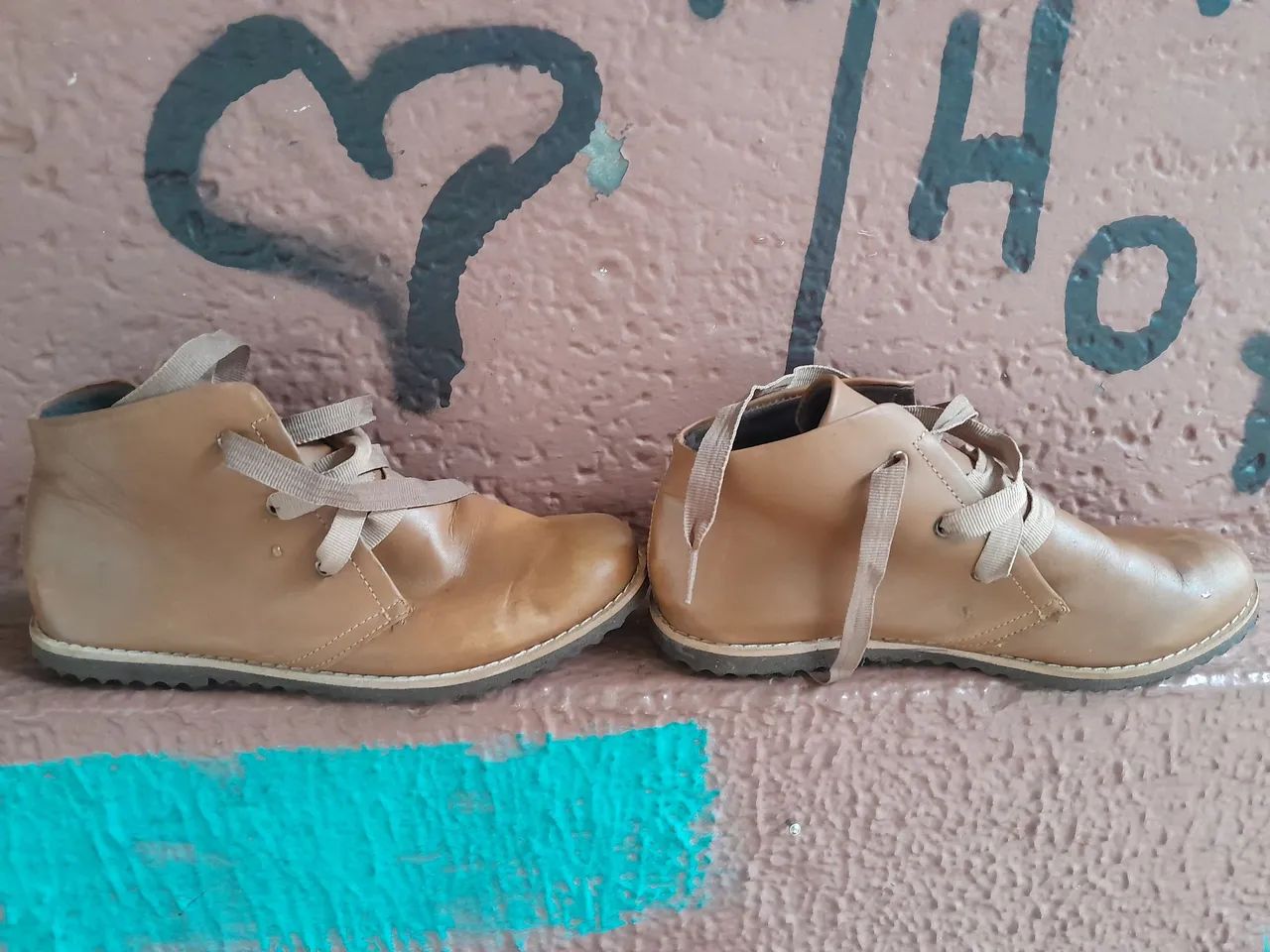 Bota