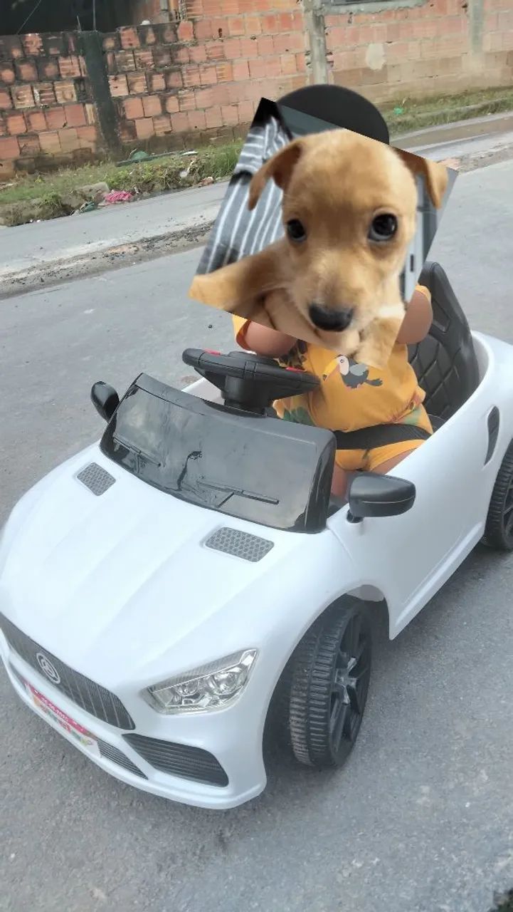 Carrinho Mercedes - Foto 2