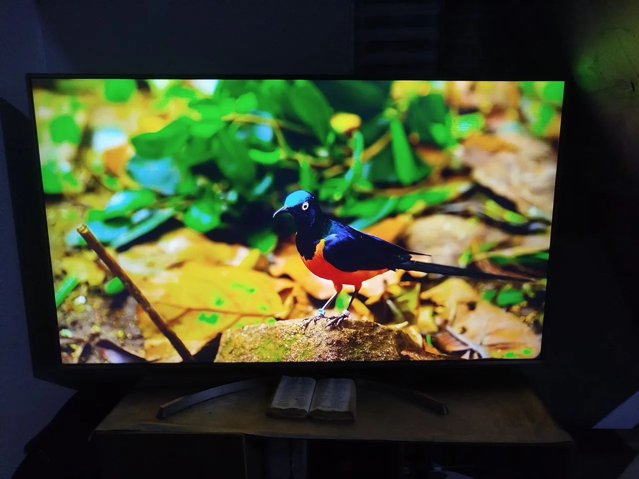 Smart tv LG 65"