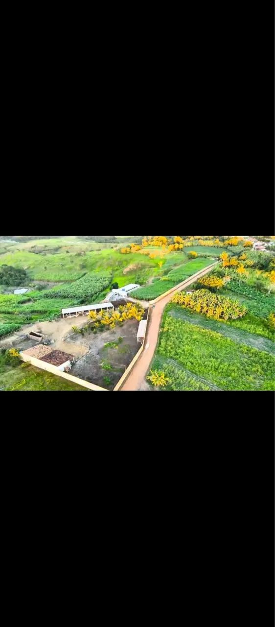 Terreno povoado fazendinha - Foto 3