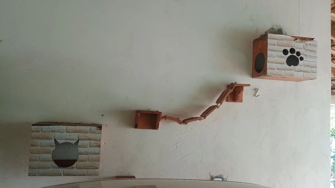 Parquinho para gatos