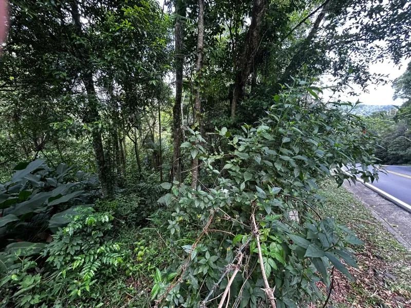 Terreno - Florianópolis SC - Foto 5