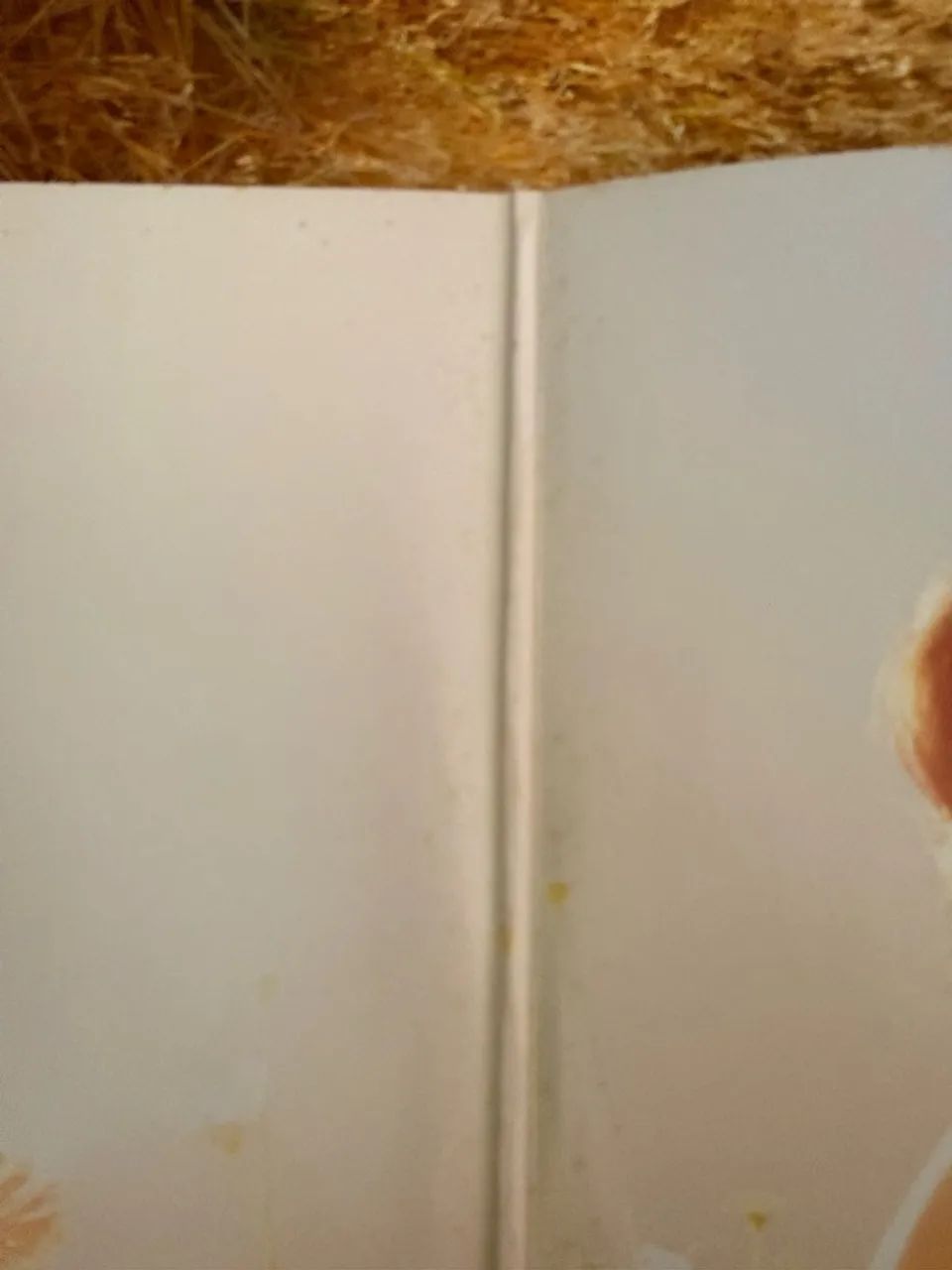 Katy Perry | Prism | Vinil Duplo Preto - Foto 2