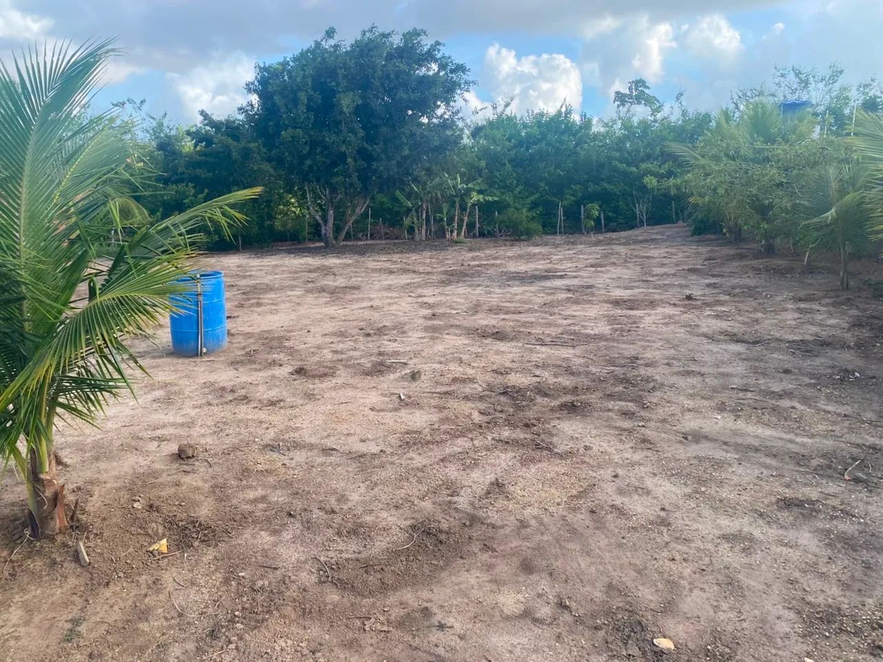 Terreno  - Foto 3