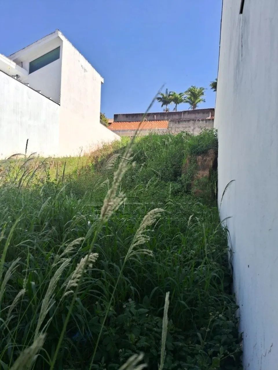 TERRENO COM 340M² - JARDIM EMILIA - Foto 4