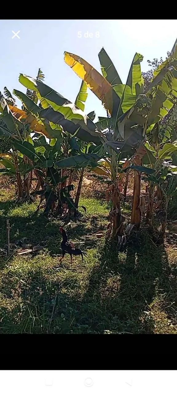 Vende  esse sítio  - Foto 5