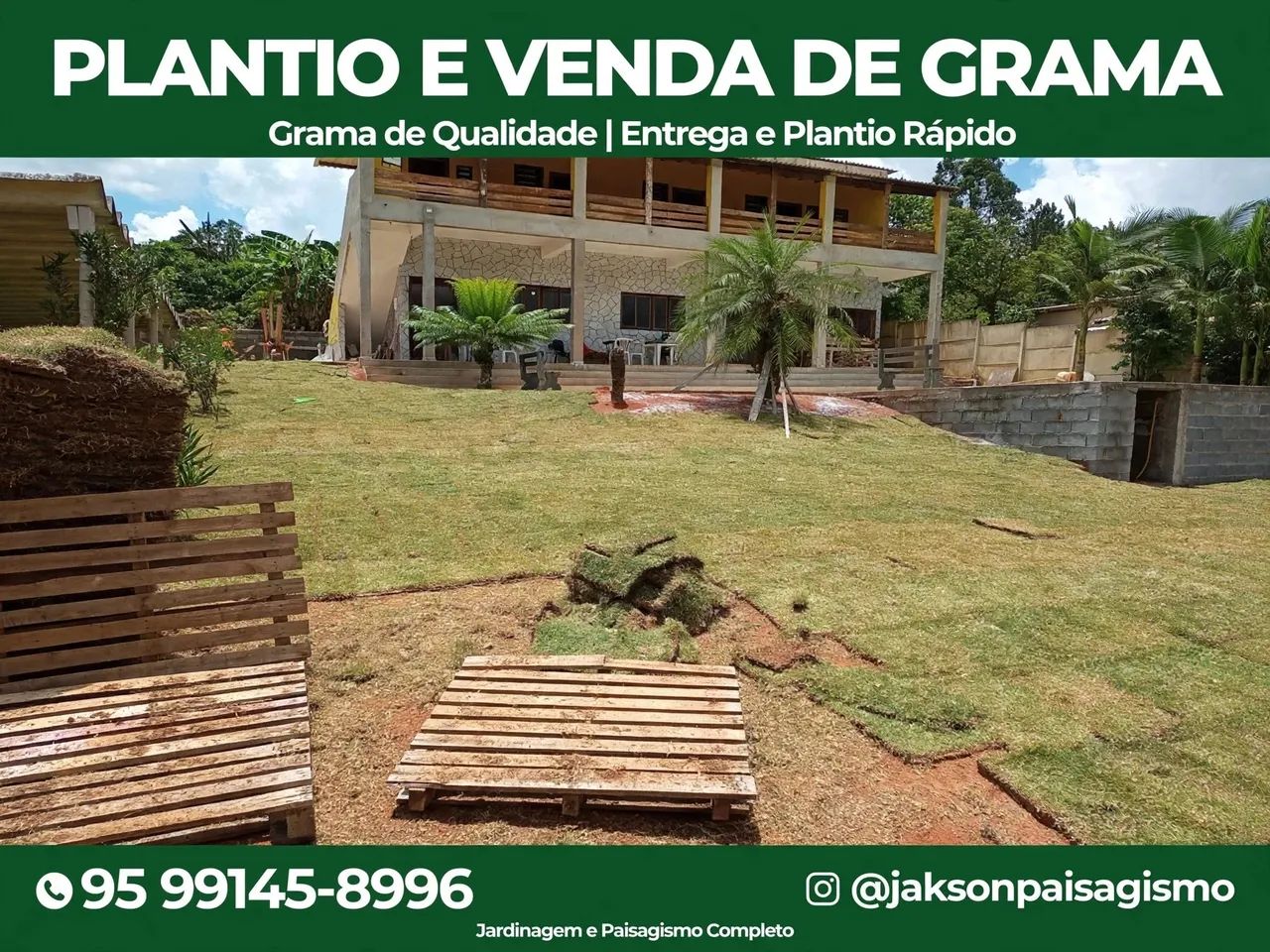 Grama Esmeralda Tapete