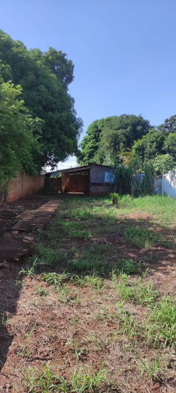 Lote em monte alegre de minas - Foto 4