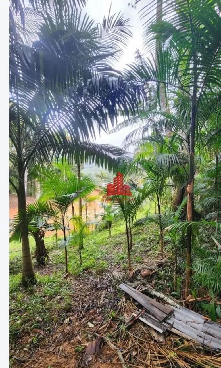 Chácara | Venda | Cedros - Foto 5