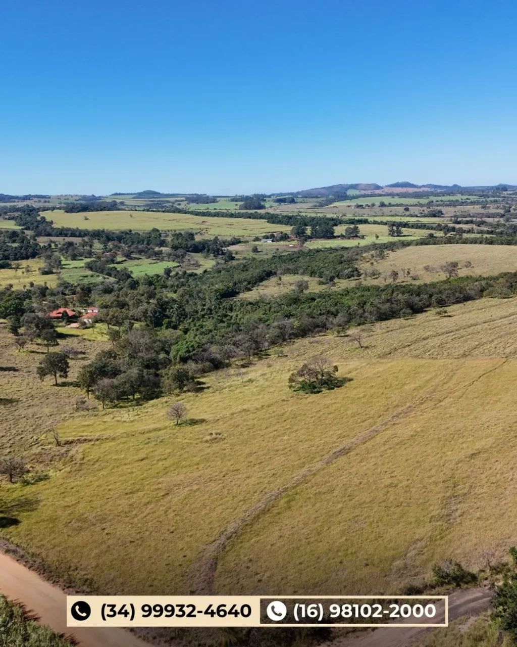Fazenda em Cajuru-SP  - Foto 3