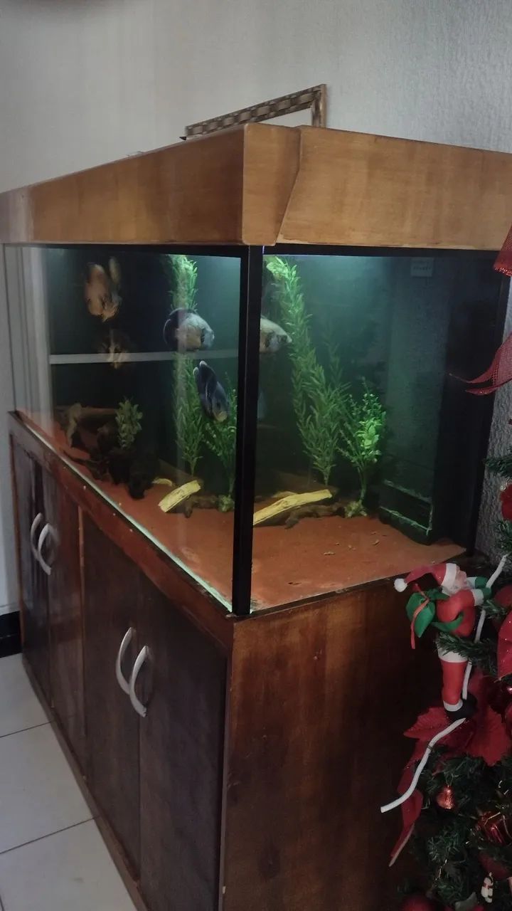 Aquário 450 litros  - Foto 2