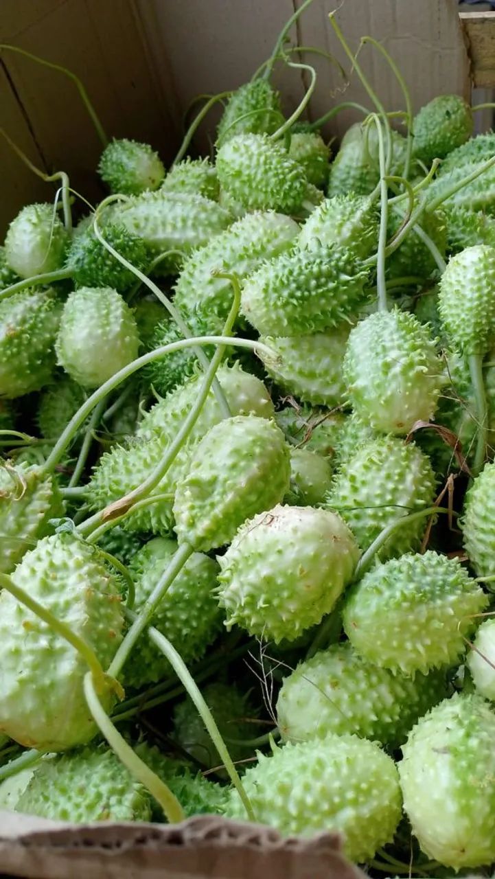 Verduras, legumes e frutas - Foto 3
