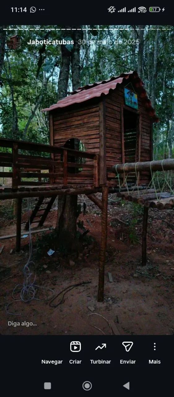 Casinha feita em volta da árvore com playground embutido completo