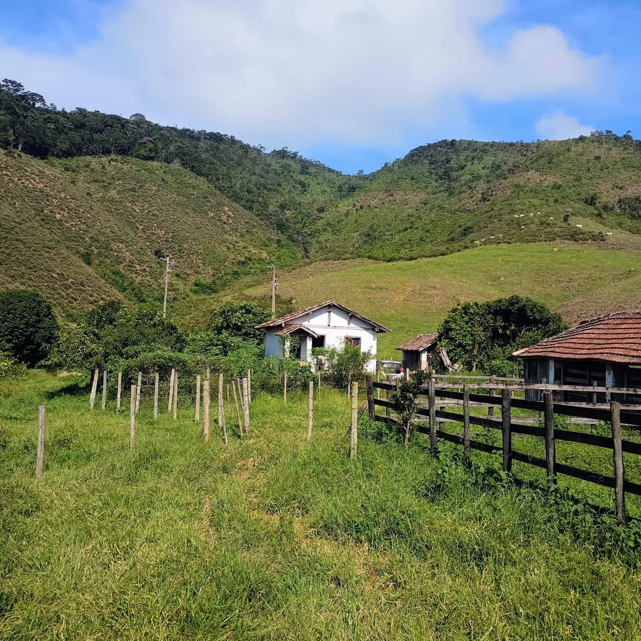 Excelente Sítio bem estruturado  - Foto 4