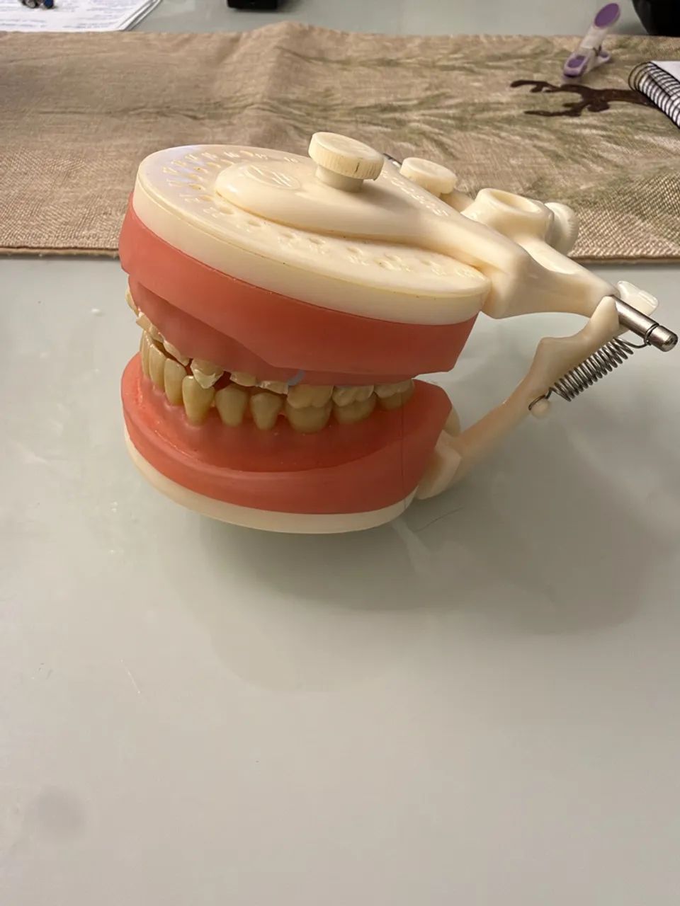 Manequim odonto  - Foto 2