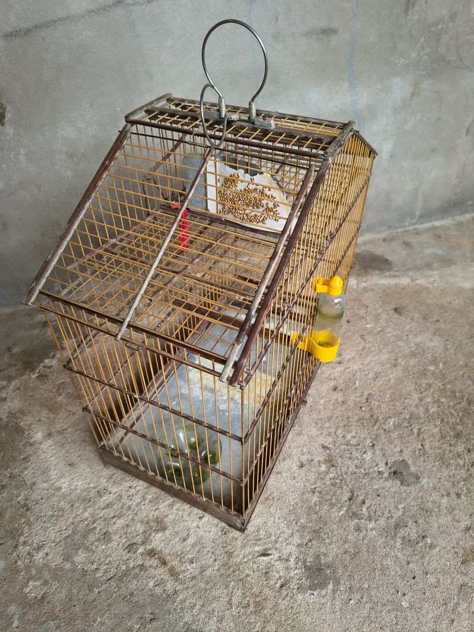 Vendo Gaiola Automática 