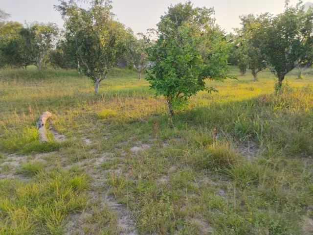 Terreno em castanhal-Pa