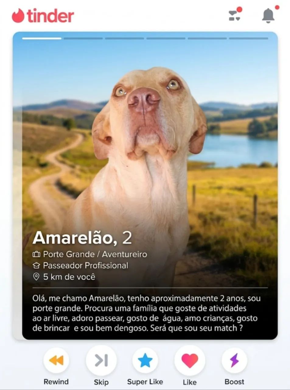 Adoção 