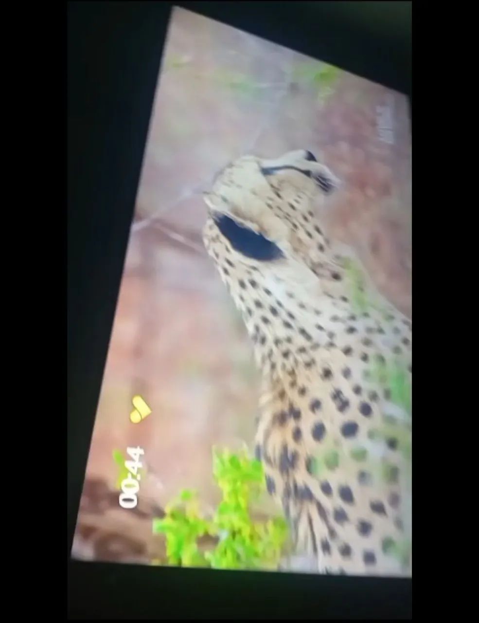 Vende se TV smart 55 polegadas full hd 4k! - Foto 4