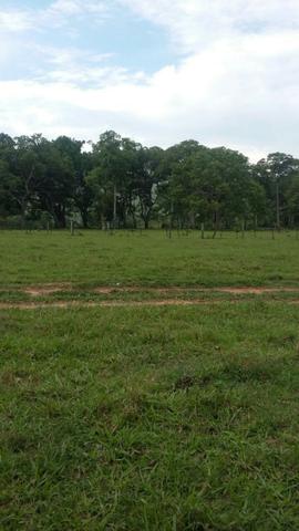 Fazenda 3288 ha terra Rosario Oeste MT braquearia 2020 cab boi R$ 6 mil reais p ha - Foto 3