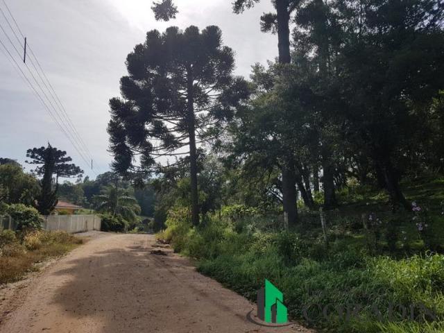 Linda Chácara em Bocaiuva do Sul - Foto 14