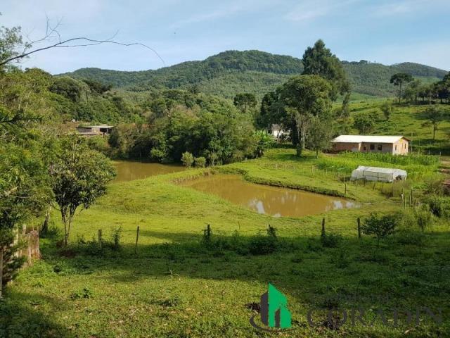 Linda Chácara em Bocaiuva do Sul - Foto 10