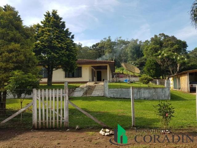 Linda Chácara em Bocaiuva do Sul - Foto 3