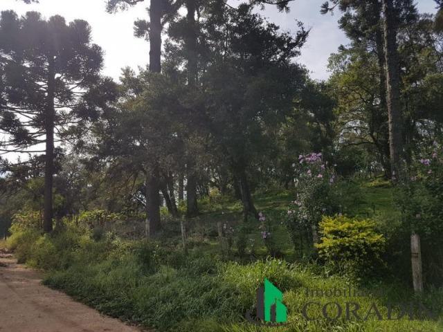 Linda Chácara em Bocaiuva do Sul - Foto 15