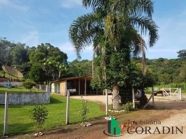 Linda Chácara em Bocaiuva do Sul - Foto 16