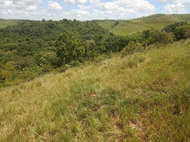 Vendo excelente área com 7.8 Hectáres em São Lourenço da Mata / PE - Foto 13