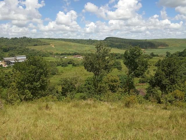 Vendo excelente área com 7.8 Hectáres em São Lourenço da Mata / PE - Foto 6