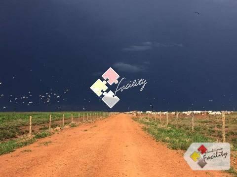 Fazenda rural à venda, centro norte, cuiabá - . - Foto 11