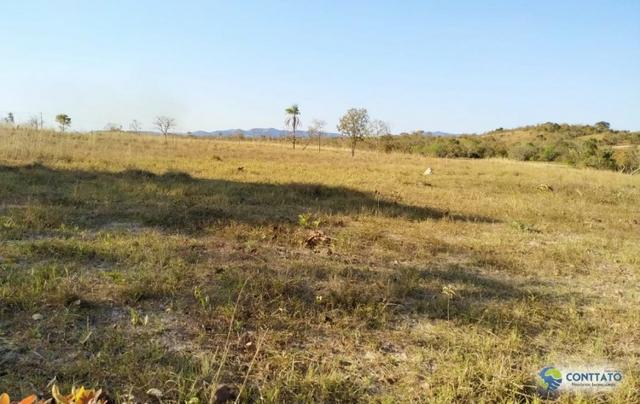 Fazenda 92 Ha toda formada e divisao de pasto - Foto 2