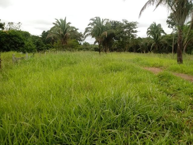 Fazenda para Pecuária em Livramento - Foto 16